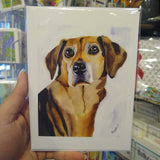 MR-110 Coon Dog