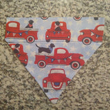 Medium Dog Bandanas