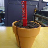 Plant markers group 2