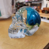 Resin Skull w/ Inclusion