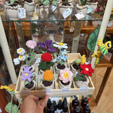 Birth Flower Potted Plant