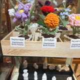 Birth Flower Potted Plant