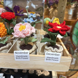 Birth Flower Potted Plant