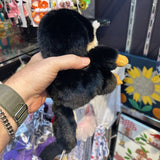 platypus