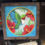 Humming Bird