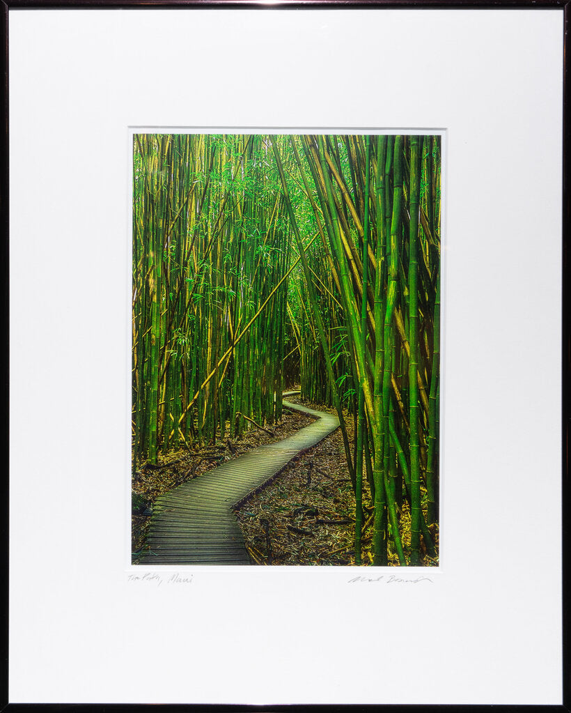 The Path, Maui Photograph Framed