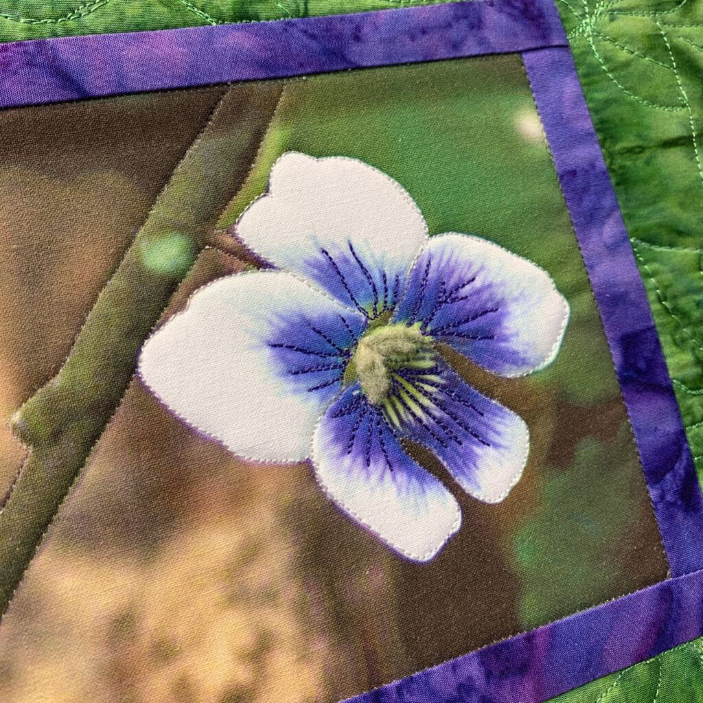 Quilted Picture Viola